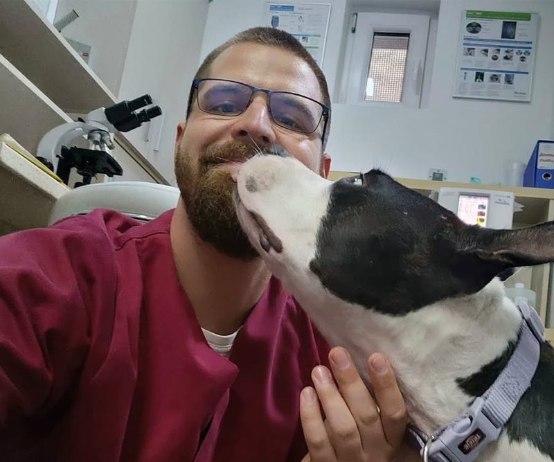 Pas i veterinar u ambulanti